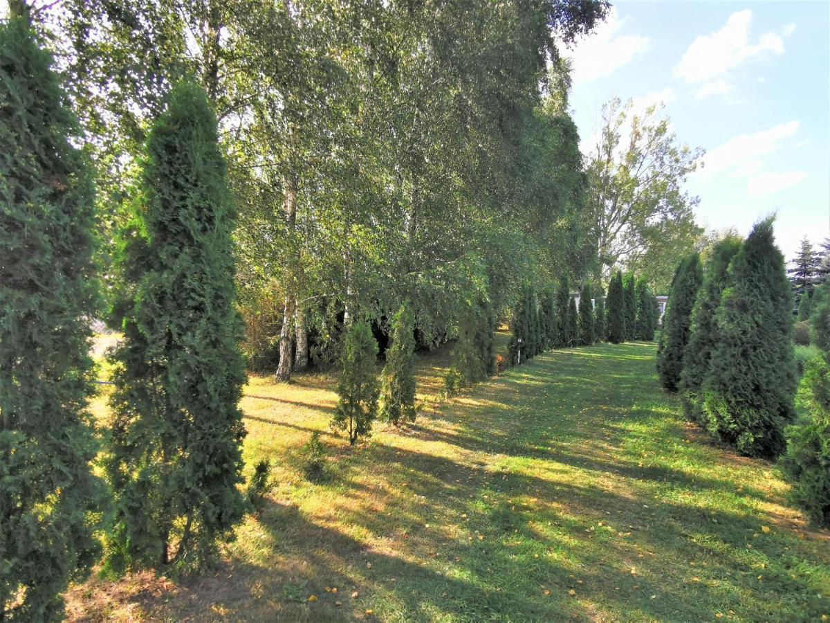 Brzozowe Zacisze Lagow (Swiebodzin) Exterior foto